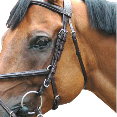 Bridão Royan Cruzado Privilégio Equitação