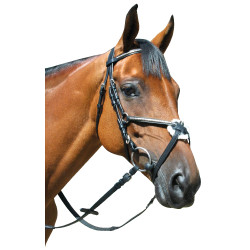 Bridão Deauville Cruzado Privilège Equitação