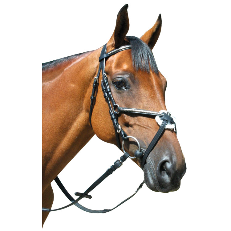 Bridão Deauville Cruzado Privilège Equitação