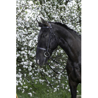 Bridão Riding World Muserola francesa Preto