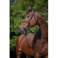 Bridão Riding World Cavesse cruzada Preto