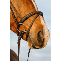 Bridão Riding World focinheira combinada dupla Havana Castanho