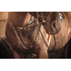 Rendas Pénélope Howlett couro Preto