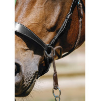 Bridon Sem-freio Norton Havana Castanho Bridon Sem-freio Norton Havana Castanho