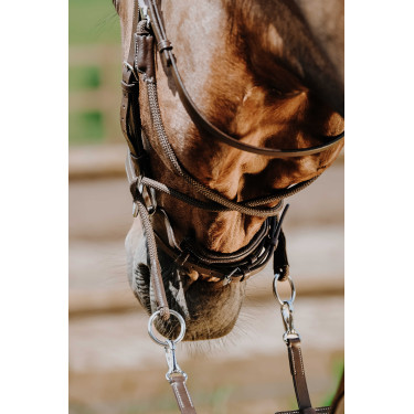 Bridon Sem-freio Norton Havana Castanho
