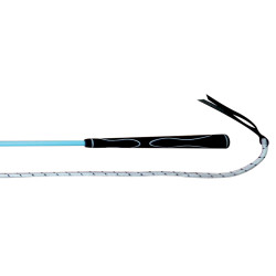 Stick etológico Whip & Go Stick etológico Whip & Go