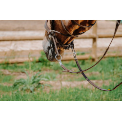 Bridon Sem-freio Norton Havana Castanho