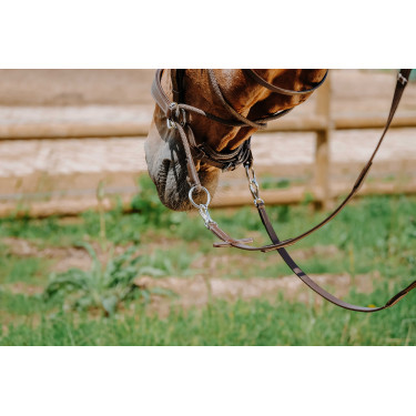 Bridon Sem-freio Norton Havana Castanho