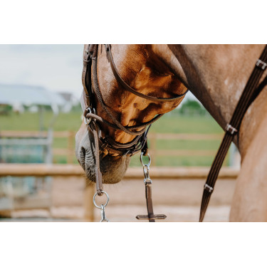 Bridon Sem-freio Norton Havana Castanho