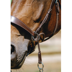 Bridon Sem-freio Norton Havana Castanho