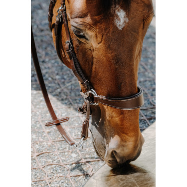 Bridon Sem-freio Norton Havana Castanho