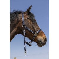 Cabresto Norton Grooming Azul-marinho Cabresto Norton Grooming Azul-marinho