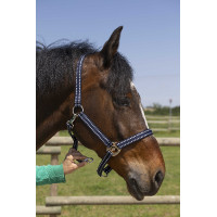 Cabresto Norton Grooming Vermelho Cabresto Norton Grooming Vermelho