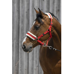 Cabeçada Riding World com lã sintética Cabeçada Riding World com lã sintética
