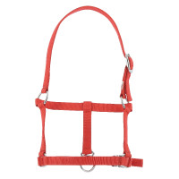 Cabresto potro Riding World Vermelho Cabresto potro Riding World Vermelho
