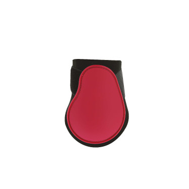 Protetor de boleto Norton Protetor de boleto Norton