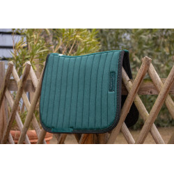 Tapetes Verticais Paddock Sports Verde escuro / preto