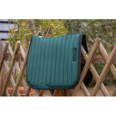 Tapetes Verticais Paddock Sports Verde escuro / preto