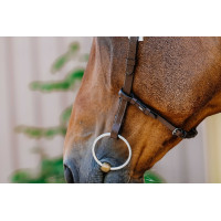 Bridon Freedom Norton Preto Bridon Freedom Norton Preto