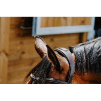 Bridon Freedom Norton Havana Castanho Bridon Freedom Norton Havana Castanho