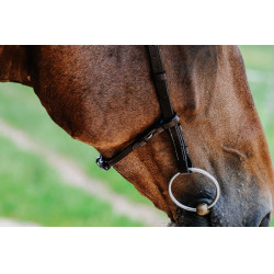 Bridon Freedom Norton Havana Castanho