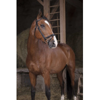 Bridon Norton Pro Fin Preto