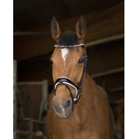 Bridon Norton Pro Bella Preto