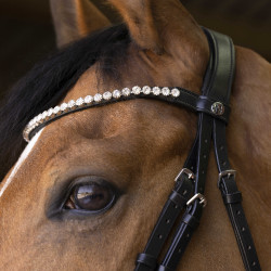 Bridon Norton Pro Bella Preto