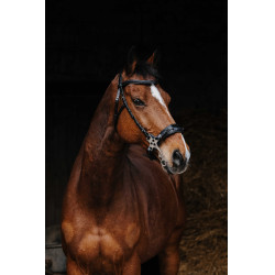 Bridon Norton Pro Hackamore Preto Bridon Norton Pro Hackamore Preto