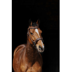 Bridon Norton Pro Hackamore Bridon Norton Pro Hackamore