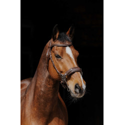 Bridon Norton Pro Hackamore Bridon Norton Pro Hackamore