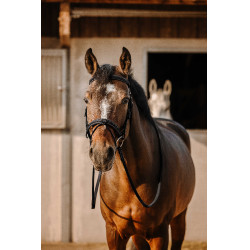 Bridão Eric Thomas Work Preto