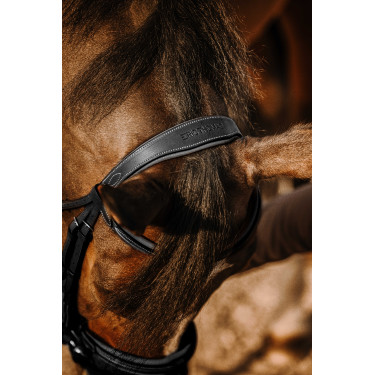 Bridão Eric Thomas Work Preto