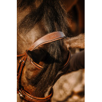 Bridão Eric Thomas Work Havana Castanho