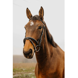 Bridon Norton Club Square Preto