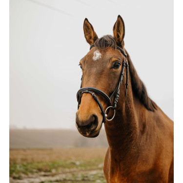 Bridon Norton Club Square Preto