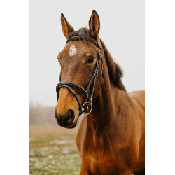 Bridon Norton Club Easy Preto