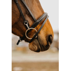 Bridon Norton Club Easy Preto