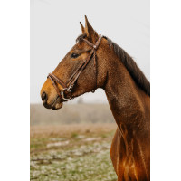 Bridon Norton Club Easy Preto Bridon Norton Club Easy Preto