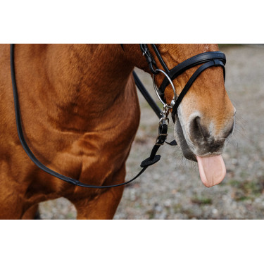 Rédias de borracha Norton Training PVC Rédias de borracha Norton Training PVC