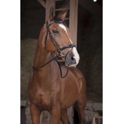 Rendas Norton Pro Supergrip Preto