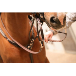 Enrêno Pénélope Howlett Havana Castanho Enrêno Pénélope Howlett Havana Castanho