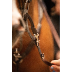 Enrêno Pénélope Howlett Havana Castanho Enrêno Pénélope Howlett Havana Castanho