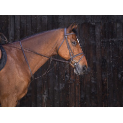 Martingale com anéis Riding World