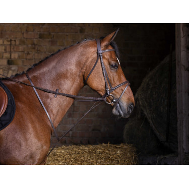 Martingale fixa Riding World