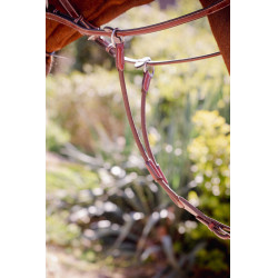 Flecha de martingal Pénélope Bip Light US elástica Avelã Castanho