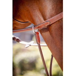 Flecha de martingal Pénélope Bip Light US elástica Avelã Castanho