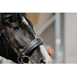 Caveção largo Norton Preto Caveção largo Norton Preto