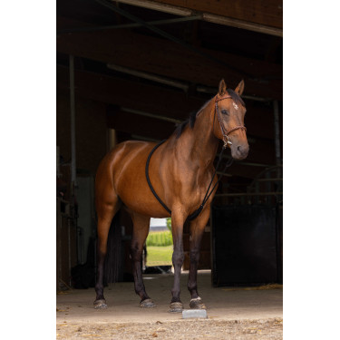 Enrêno Norton extensor suave Preto Enrêno Norton extensor suave Preto