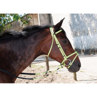 Trensenzaum Biotack® T de T Azul claro